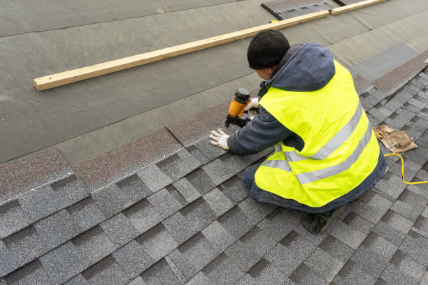 Best Shingle Roofing Installation  in Utica, MI