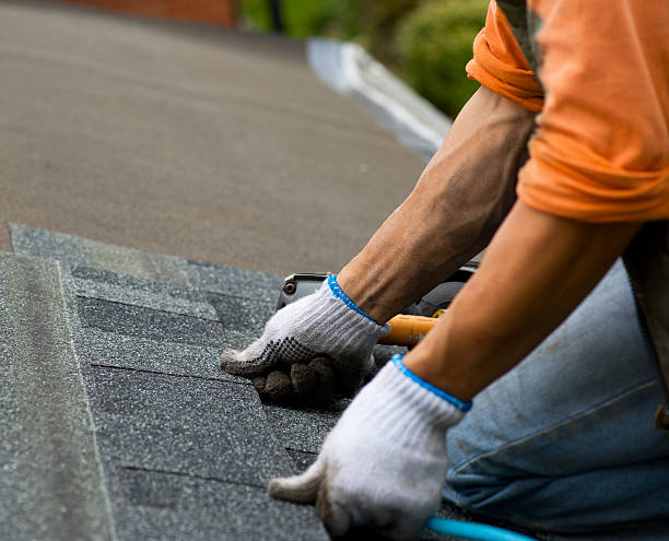 Best Roof Maintenance Services  in Utica, MI