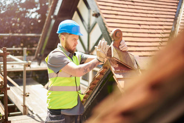 Best Roof Gutter Cleaning  in Utica, MI
