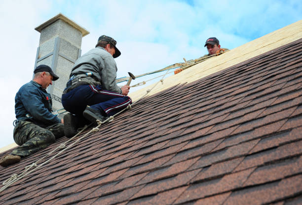 Best Metal Roofing Contractor  in Utica, MI