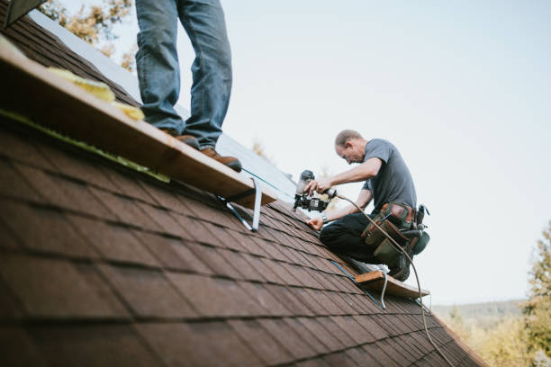 Quick and Trustworthy Emergency Roof Repair Services in Utica, MI
