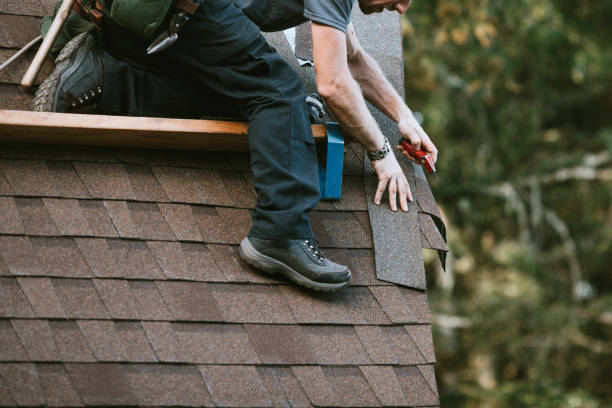Best Storm Damage Roof Repair  in Utica, MI